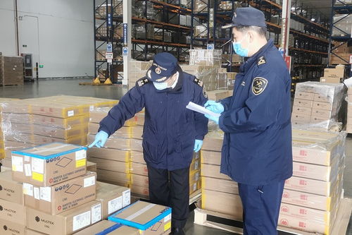 天津海關創新舉措賦能保稅物流中心，經開區帶b進出口值同比增長66.6%